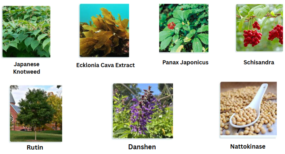 Samurai Secret Cell Enhancer Plus Ingredients